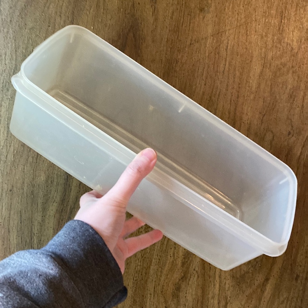 tupperware celery container without rack or lid
